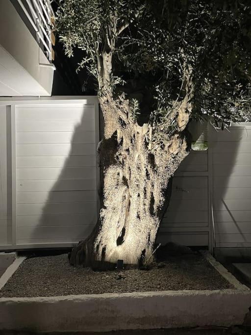Villa Helio Kineta Εξωτερικό φωτογραφία